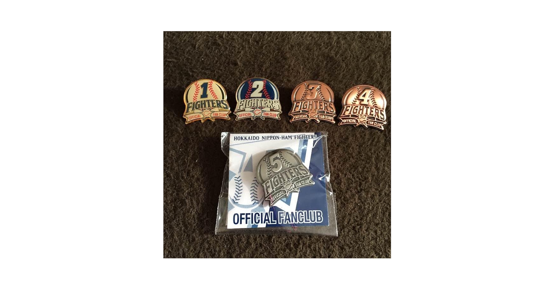 JR北海道バッチ 北海道鉄道の旅ピンズDX｜ご当地ピンズ